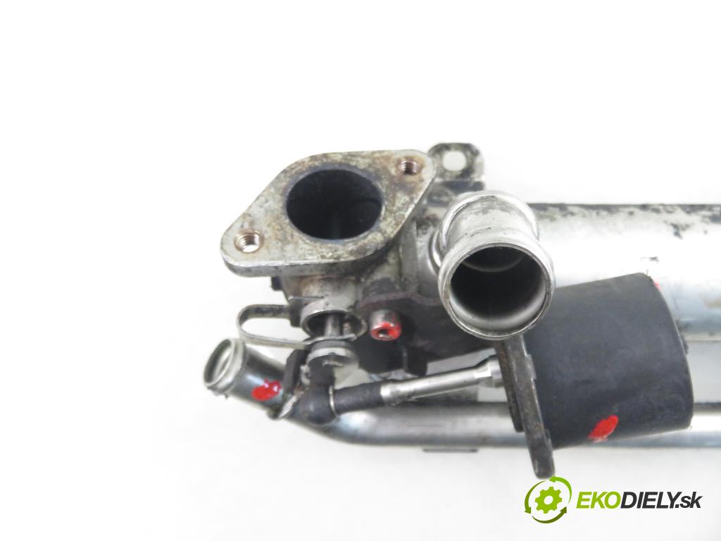 VW CADDY III Furgon (2KA, 2KH, 2CA, 2CH) FURGON 2005 77,00 1.9 TDI - BLS 1896,00 chladič spalín 03G131512G
