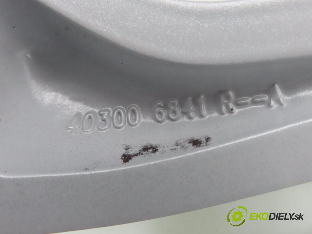 RENAULT   0    disky / disk 403006841RA