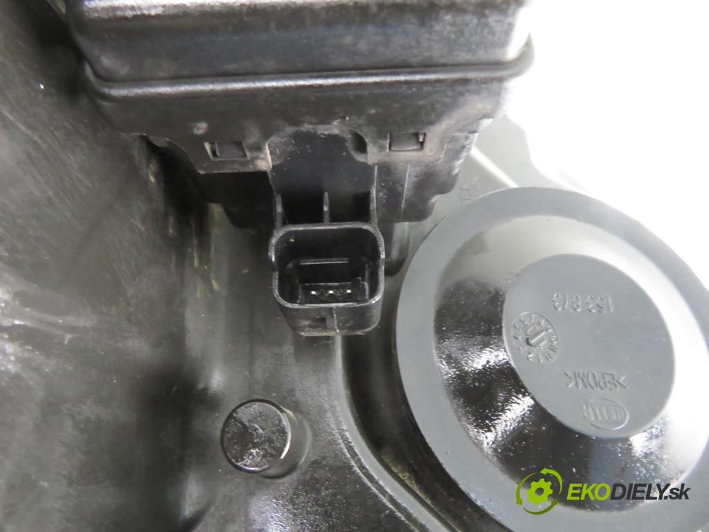 RENAULT SCENIC II (JM0/1_) MINIVAN 2004 99,00 2.0 135 - F4R 770 1998,00 Svetlo LP 00829000