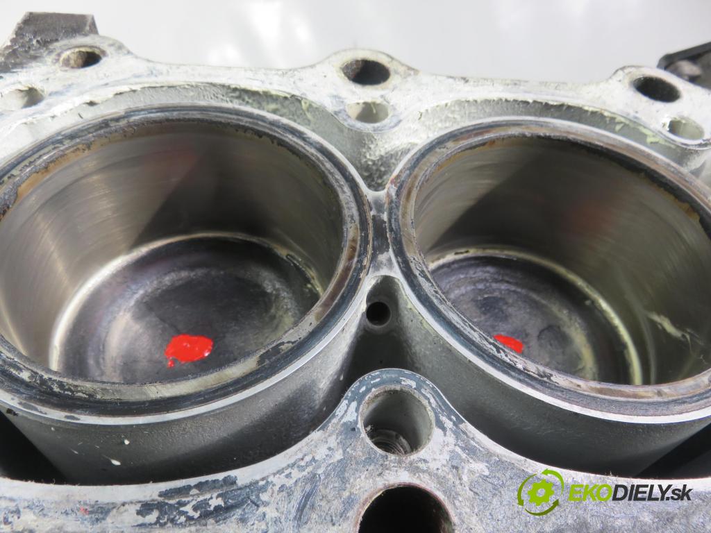 SUZUKI GRAND VITARA II (JT, TE, TD) SUV 2006 103,00 2.0 140 (JB420W) - J20A 1995,00 blok Motor J20A (Blok motora)