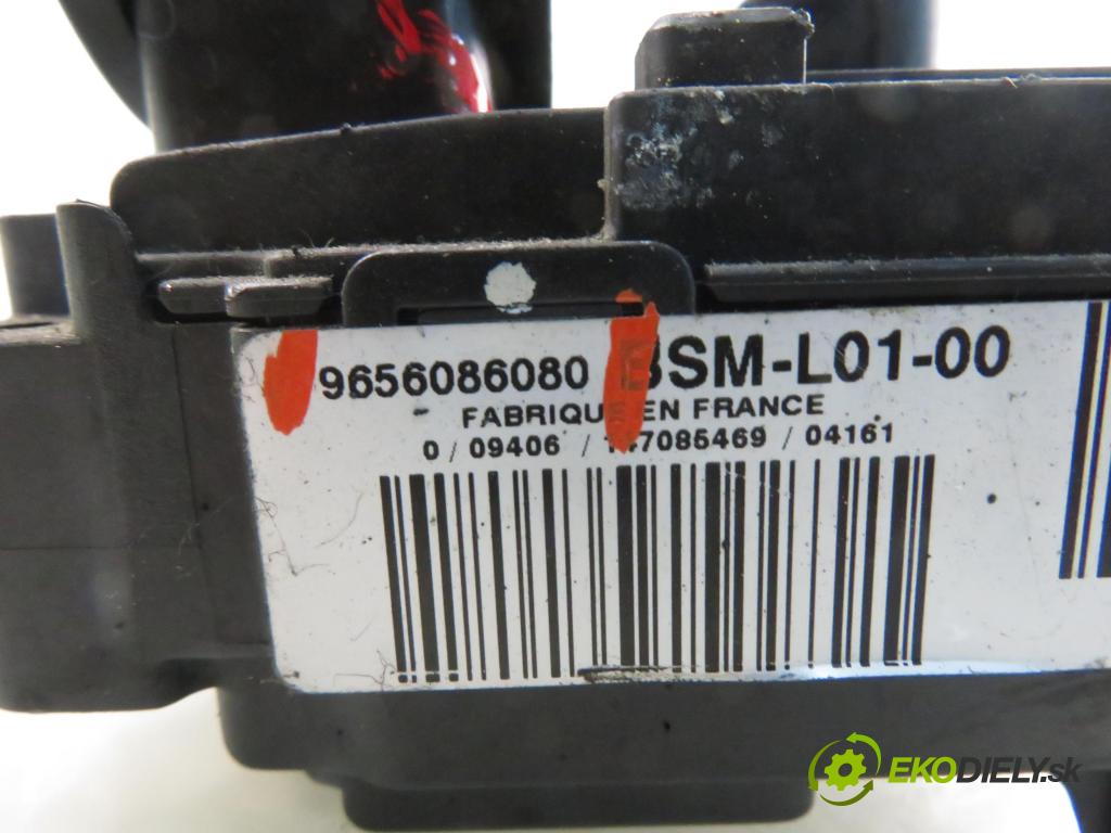 PEUGEOT 407 (6D_) SEDAN 2005 100,00 2.0 HDi 135 - RHR 1997,00 MODUL BSM 9656086080