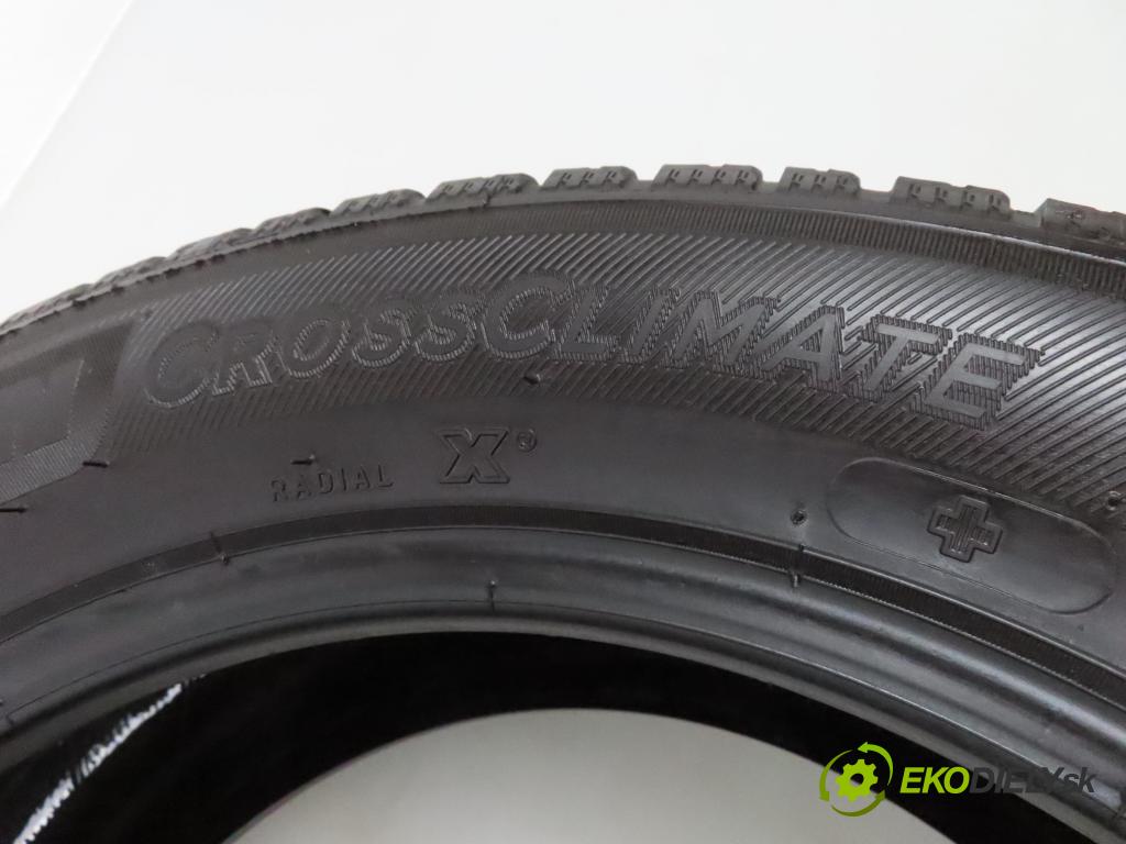    2017    PNEUMATIKY: / PNEUMATIKY: celoroční 