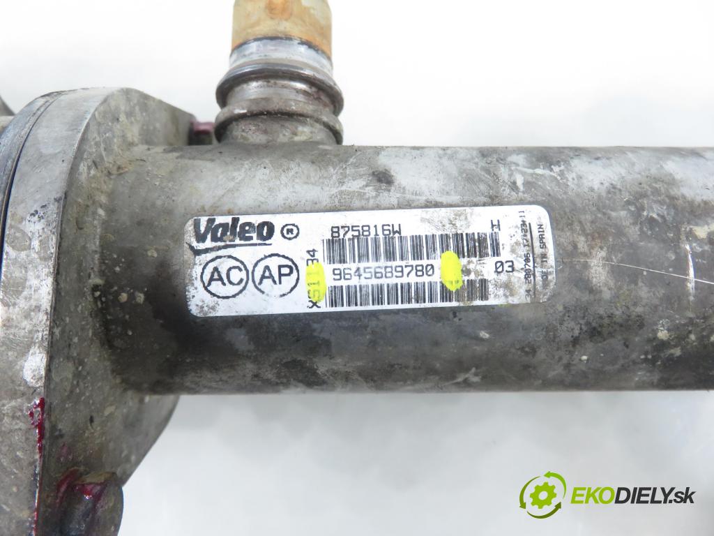 CITROEN C5 II (RC_) LIFTBACK 2006 100,00 2.0 HDi 136 - RHR (DW10BTED4) 1997,00 VENTIL EGR 9681825280 ; 9645689780