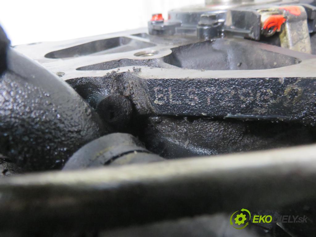 SEAT IBIZA IV (6J5, 6P1) HB 2009 77,00 1.9 TDI - BLS 1896,00 motor DIESLA BLS.