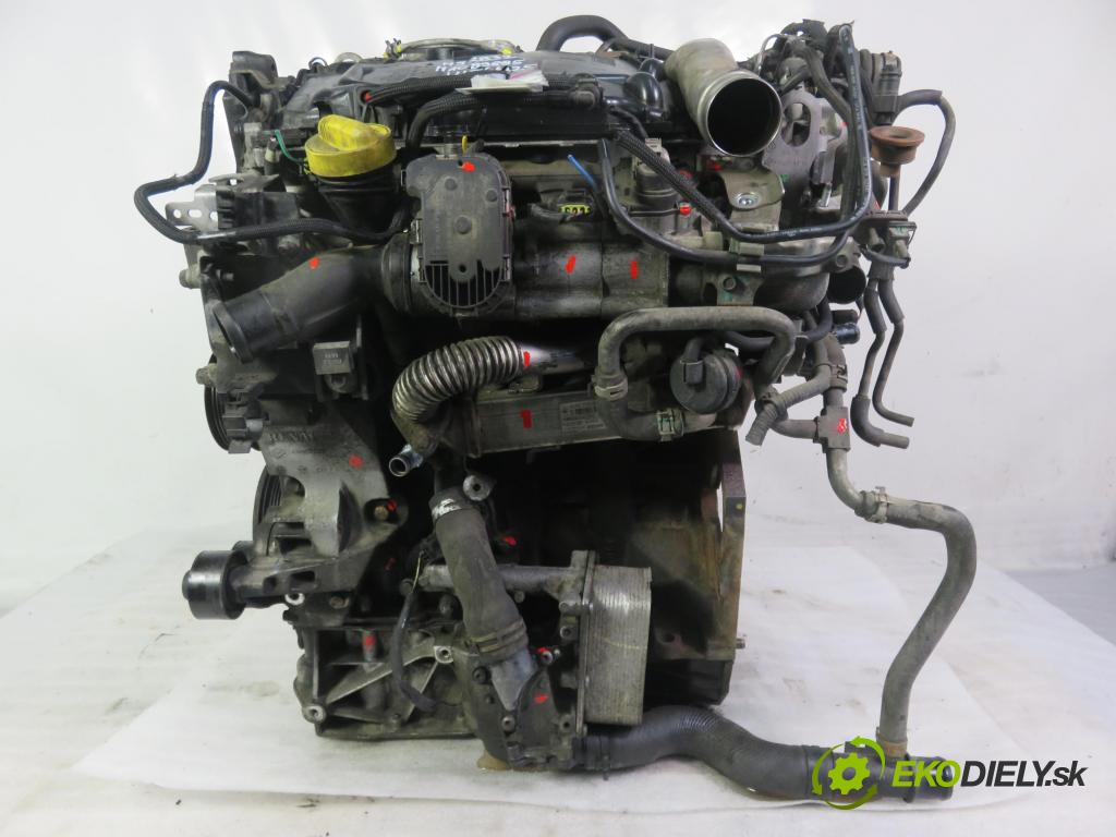 RENAULT KOLEOS I (HY_) SUV 2008 110,00 2.0 dCi 4x4 150 - M9R 832 1995,00 Motor DIESEL M9R832