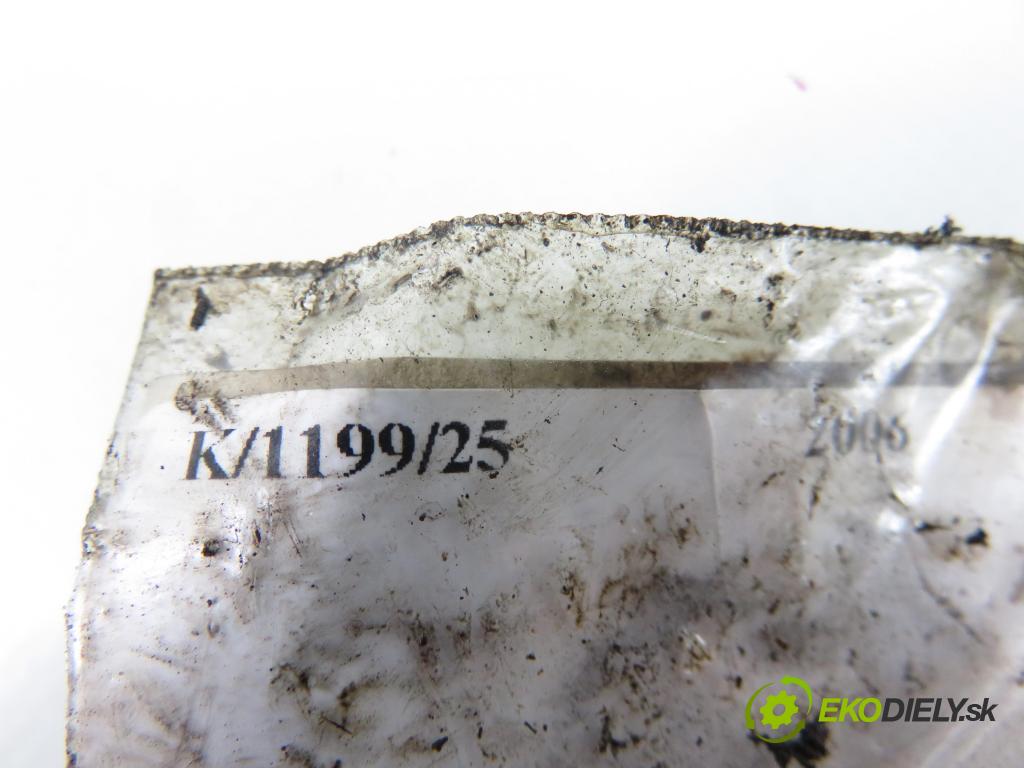 VW PASSAT B6 Variant (3C5) KOMBI 2006 77,00 1.9 TDI - BXE 1896,00 Vstrekovač 038130073AG (Vstrekovač paliva)