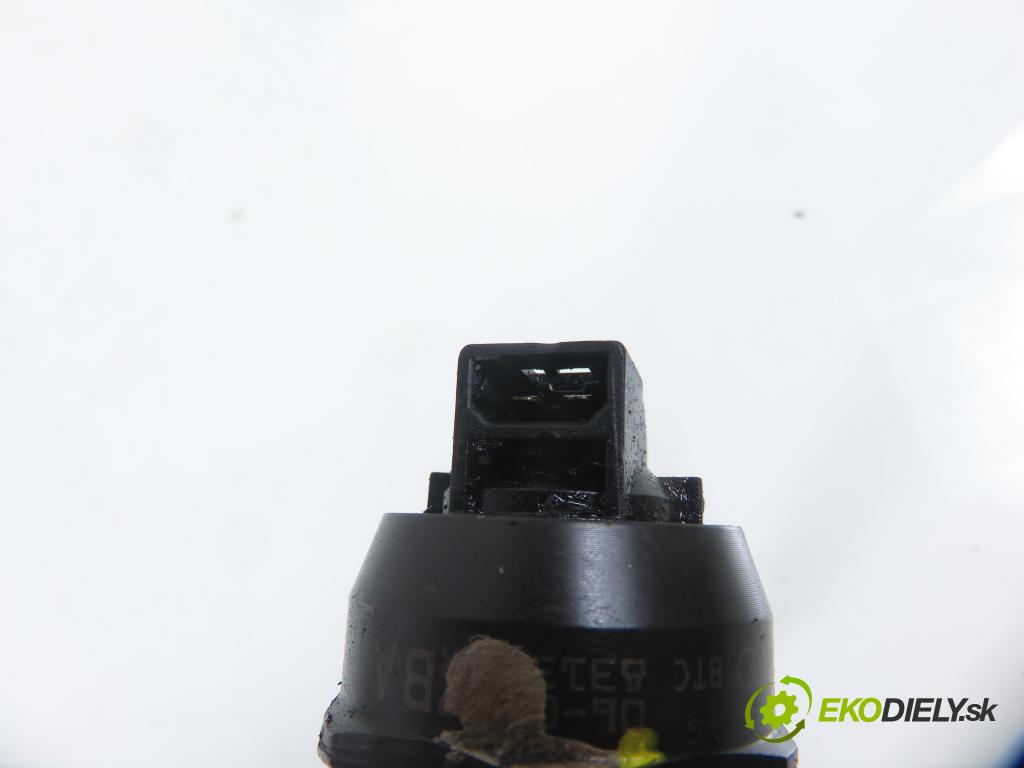 VW PASSAT B6 Variant (3C5) KOMBI 2006 77,00 1.9 TDI - BXE 1896,00 Vstrekovač 038130073AG (Vstrekovač paliva)