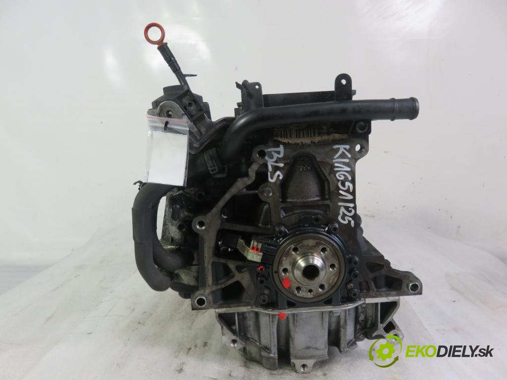 VW GOLF PLUS (5M1, 521) HB 2008 77,00 1.9 TDI - BLS 1896,00 blok Motor BLS (Blok motora)