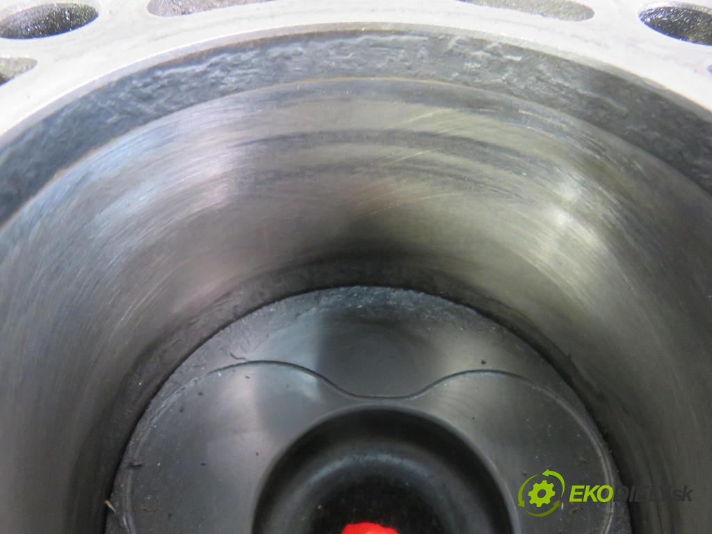 VW GOLF PLUS (5M1, 521) HB 2008 77,00 1.9 TDI - BLS 1896,00 blok Motor BLS (Blok motora)