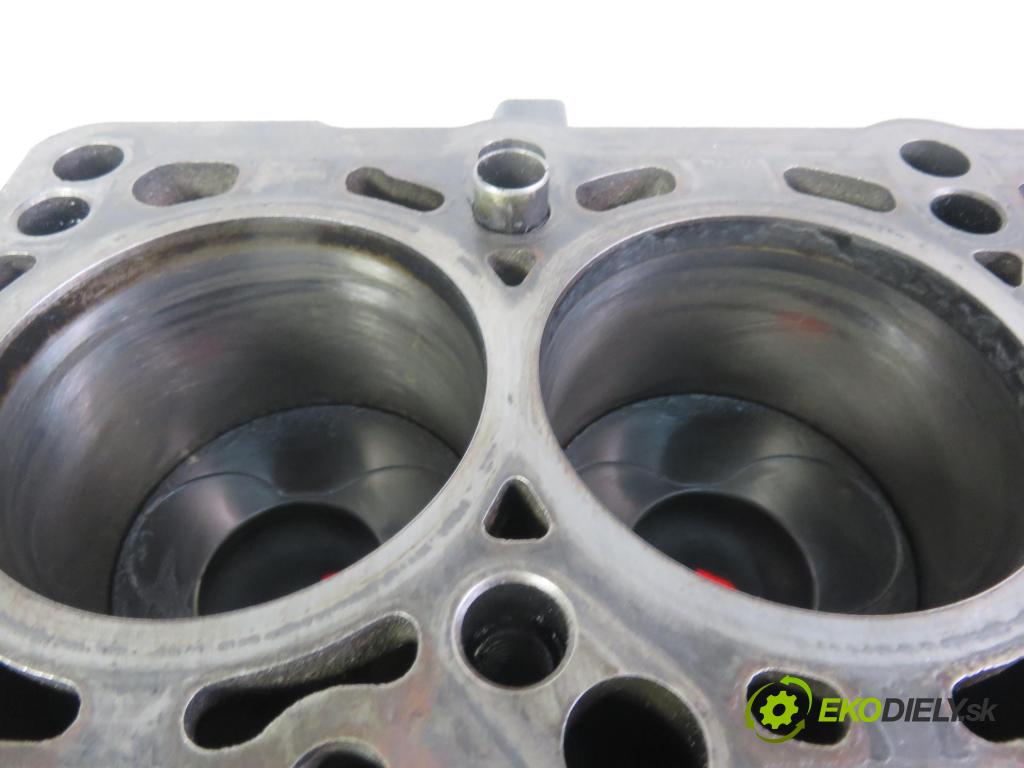 VW GOLF PLUS (5M1, 521) HB 2008 77,00 1.9 TDI - BLS 1896,00 blok Motor BLS (Blok motora)