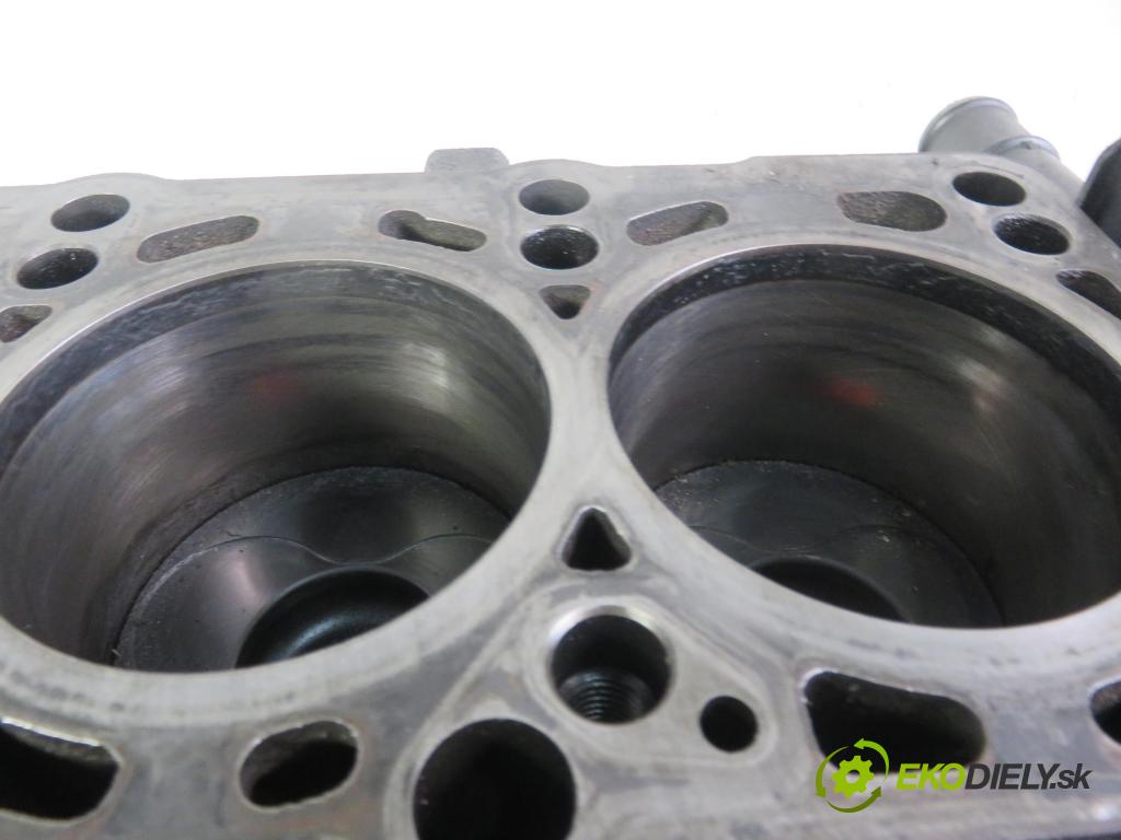 VW GOLF PLUS (5M1, 521) HB 2008 77,00 1.9 TDI - BLS 1896,00 blok Motor BLS (Blok motora)