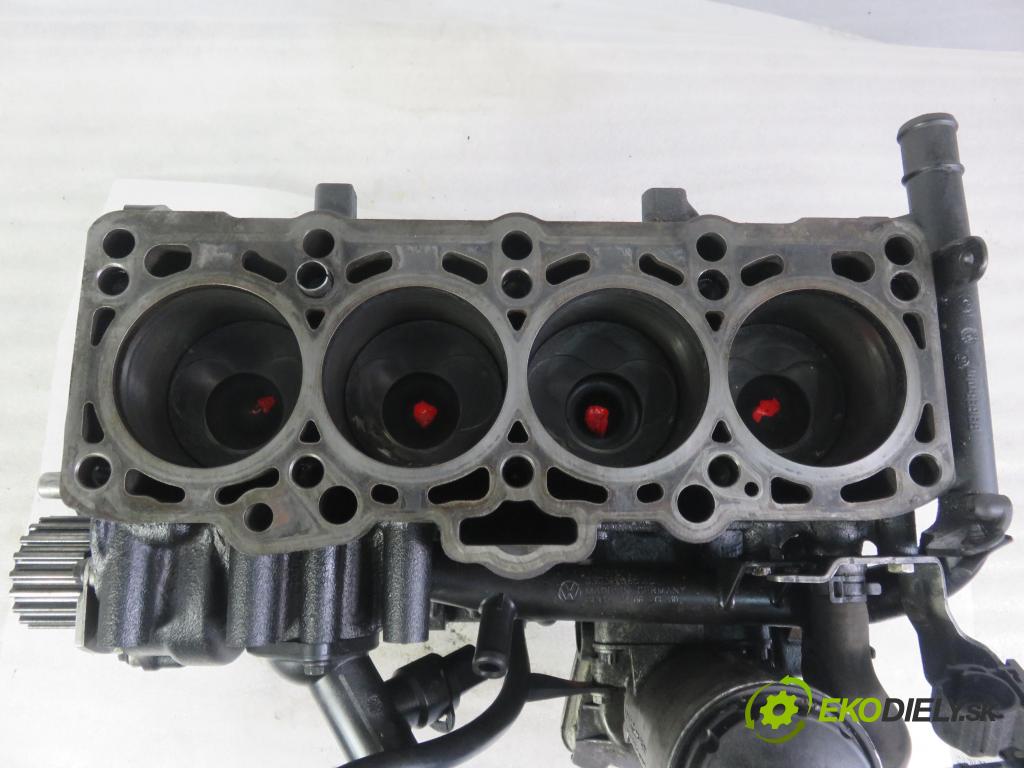 VW GOLF PLUS (5M1, 521) HB 2008 77,00 1.9 TDI - BLS 1896,00 blok Motor BLS (Blok motora)