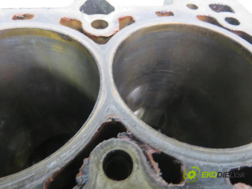 OPEL MERIVA B nadwozie wielkoprzestrzenne (MPV) (S10) MINIVAN 2008 88,00 1.4 LPG - A 14 NEL 1364,00 blok Motor A14NEL (Blok motora)