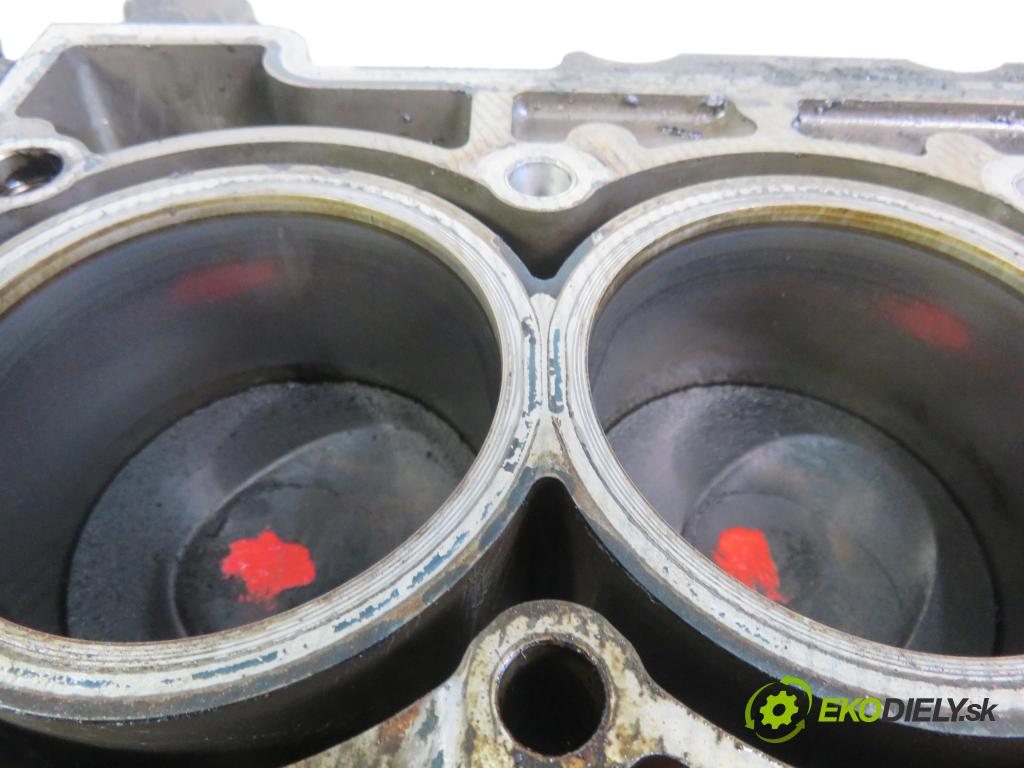 SKODA FABIA II Combi (545) KOMBI 2011 77,00 1.2 TSI - CBZB 1197,00 blok Motor CBZB (Blok motora)