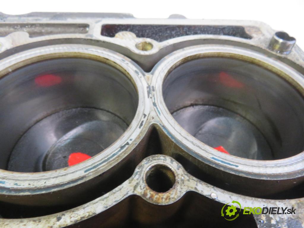 SKODA FABIA II Combi (545) KOMBI 2011 77,00 1.2 TSI - CBZB 1197,00 blok Motor CBZB (Blok motora)