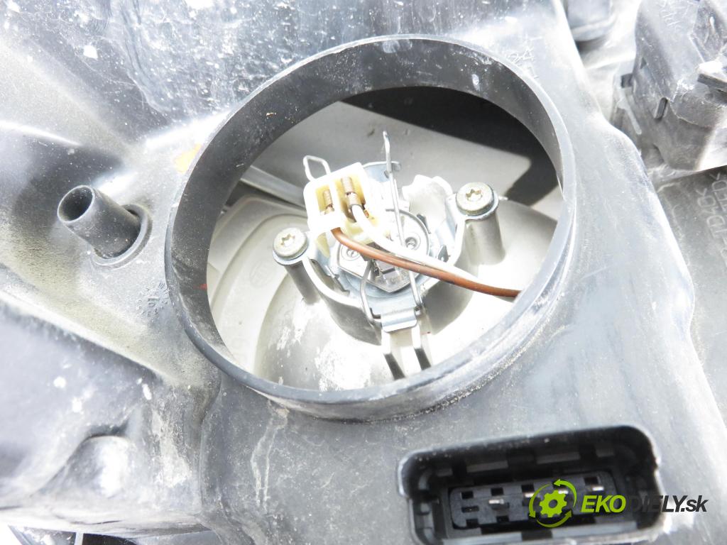 RENAULT GRAND SCENIC II (JM0/1_) MINIVAN 2004 99,00 2.0 135 - F4R 771 1998,00 Svetlo LP