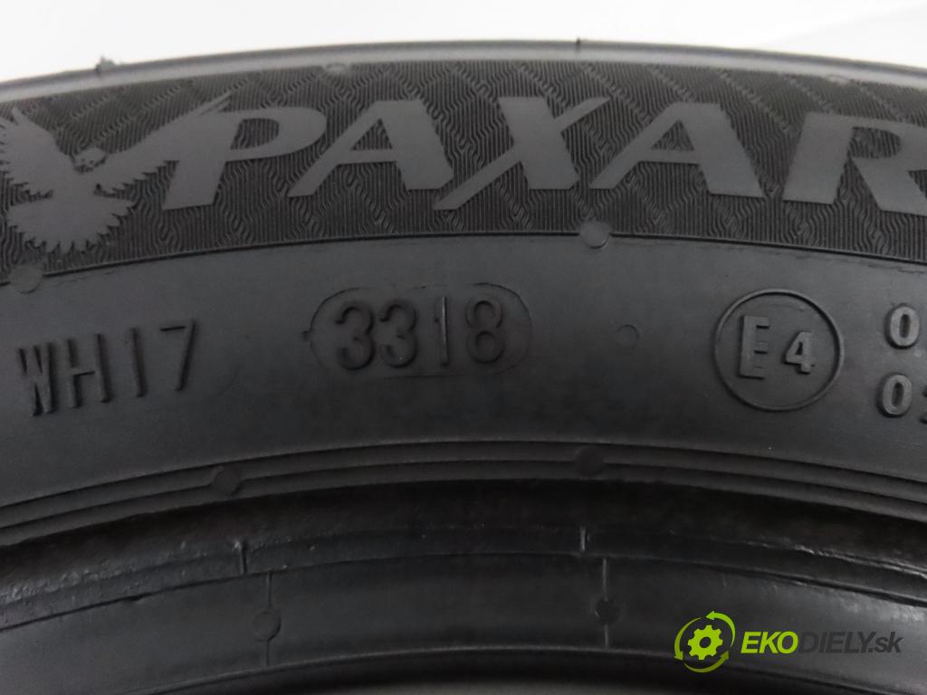 2018    PNEUMATIKY: / PNEUMATIKA: ZIMA: