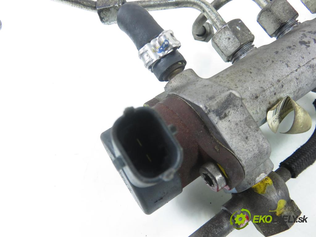 FIAT PANDA (169_) HB 2008 51,00 1.3 D Multijet 4x4 - 188 A8.000 1248,00 Lišta vstrekovacia 0281002584 ; 55210069 ; 0445214044 (Vstrekovacia lišta)