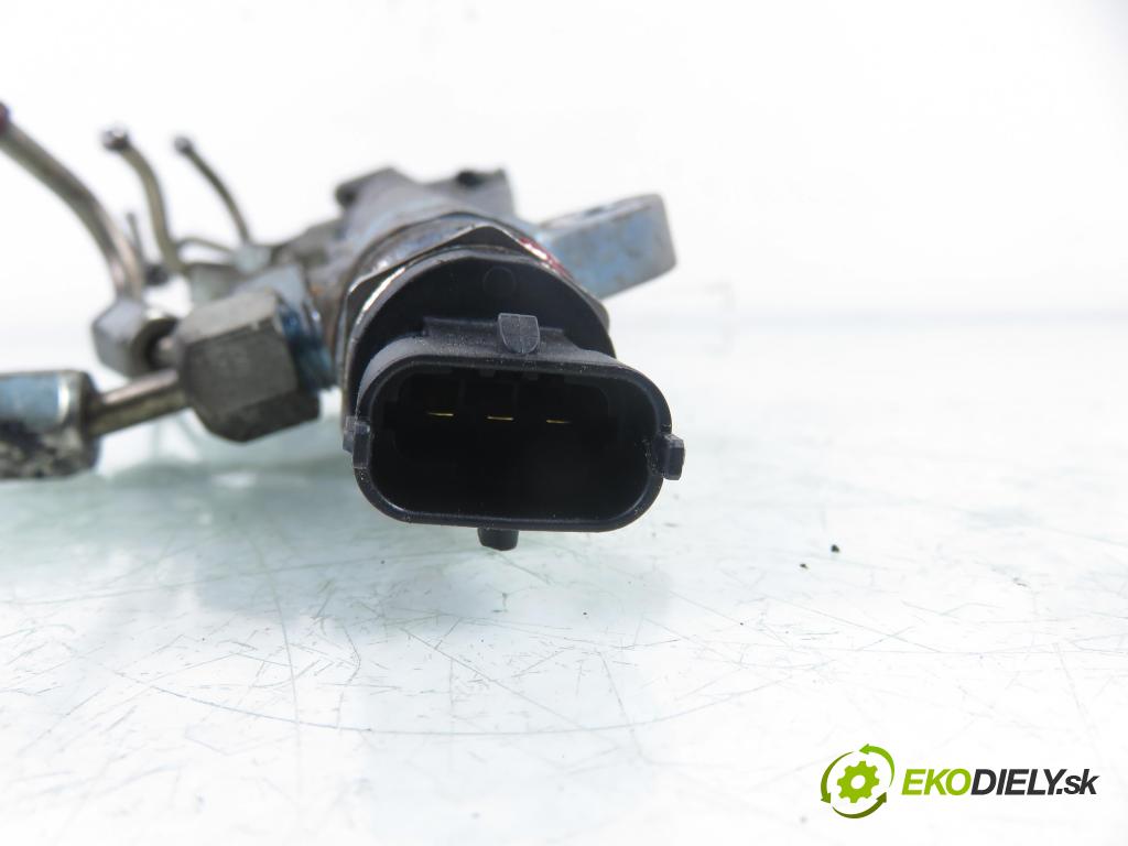 FIAT PANDA (169_) HB 2008 51,00 1.3 D Multijet 4x4 - 188 A8.000 1248,00 Lišta vstrekovacia 0281002584 ; 55210069 ; 0445214044 (Vstrekovacia lišta)