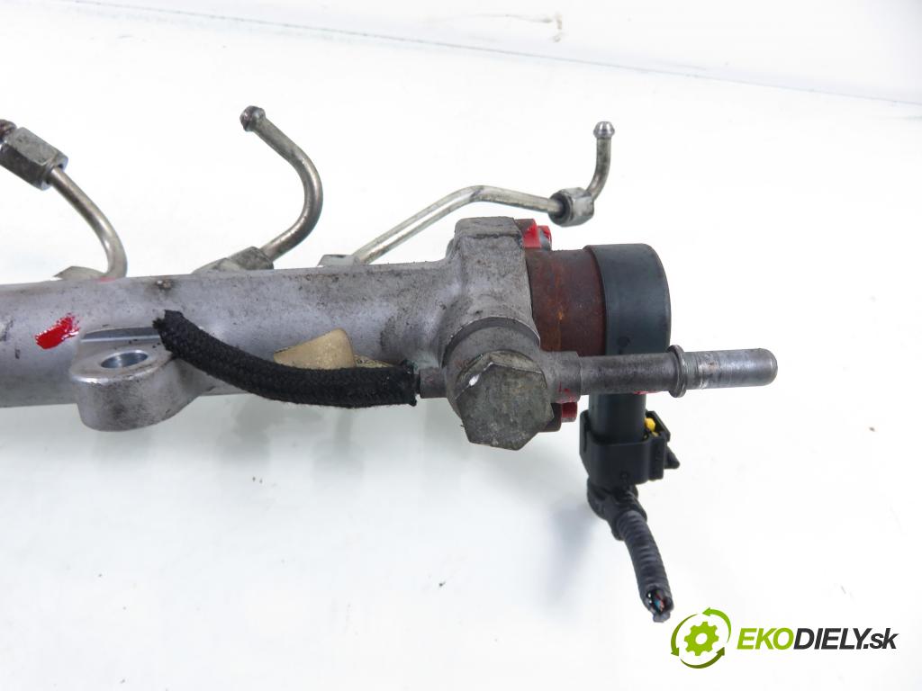 FIAT PANDA (169_) HB 2008 51,00 1.3 D Multijet 4x4 - 188 A8.000 1248,00 Lišta vstrekovacia 0281002584 ; 55210069 ; 0445214044 (Vstrekovacia lišta)