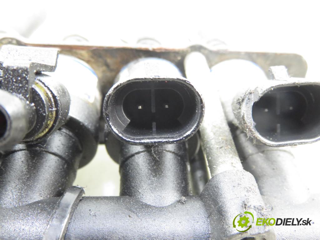 RENAULT SCENIC I (JA0/1_) CROSSOVER 2001 102,00 2.0 16V RX4 139 - F4R 744 1998,00 Lišta vstrekovacia LPG 67R011022 ; GISMI3100