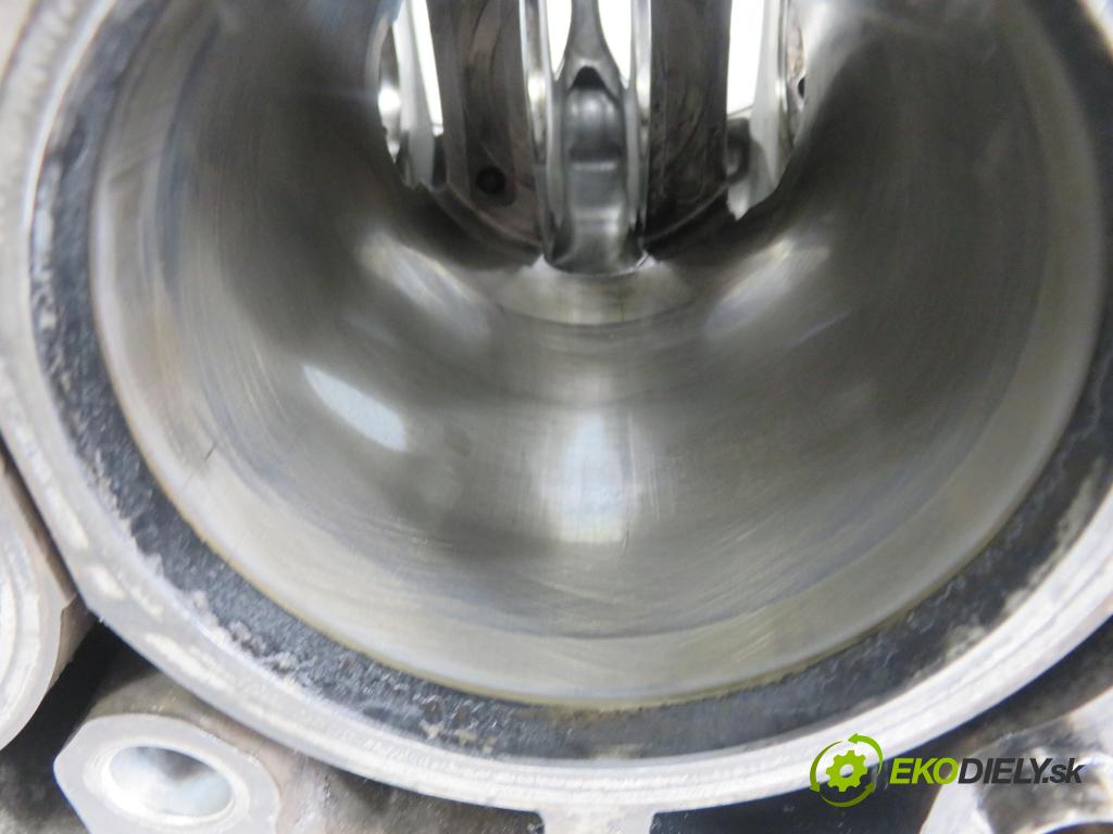 SUBARU FORESTER (SH_) SUV 2009 110,00 2.0 D AWD 1998,00 blok Motor EE20Z (Blok motora)