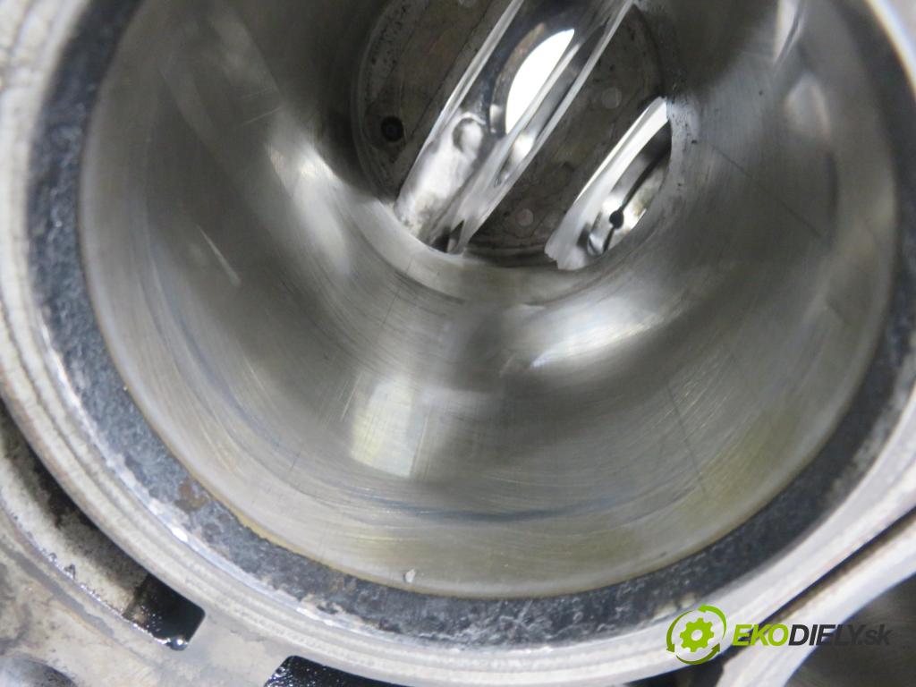 SUBARU FORESTER (SH_) SUV 2009 110,00 2.0 D AWD 1998,00 blok Motor EE20Z (Blok motora)