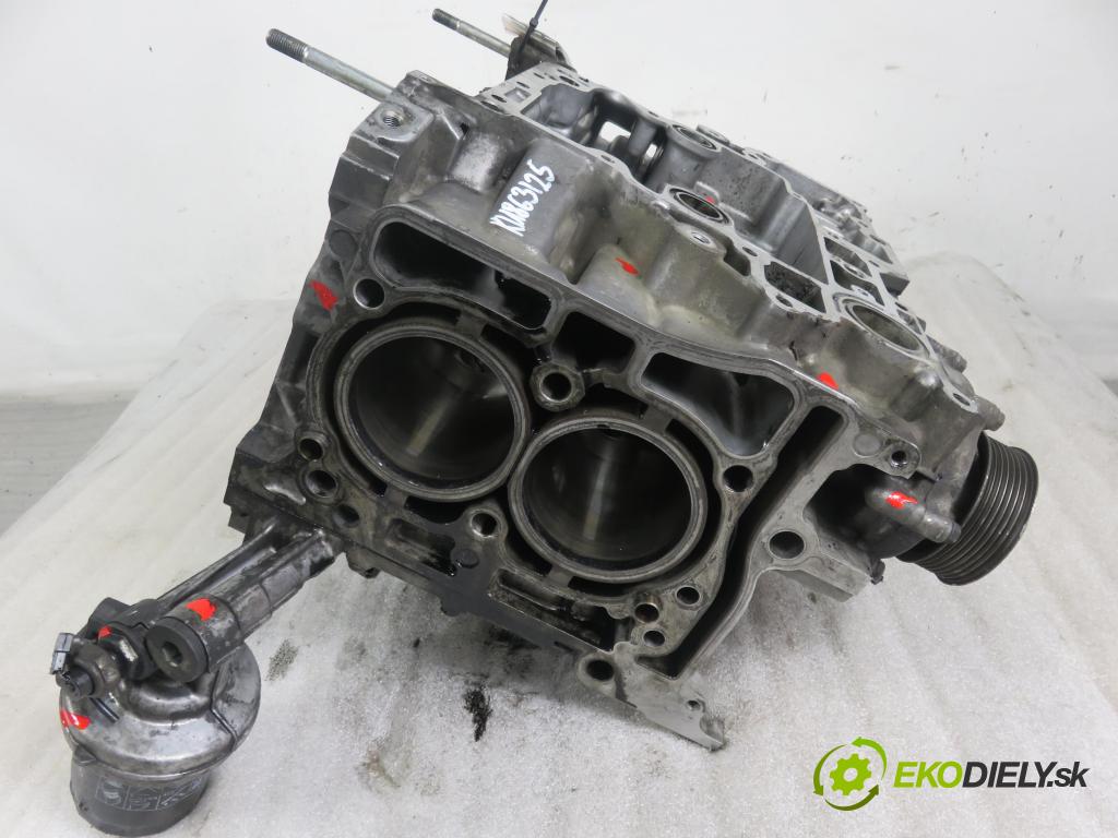 SUBARU FORESTER (SH_) SUV 2009 110,00 2.0 D AWD 1998,00 blok Motor EE20Z (Blok motora)