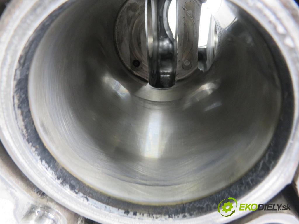 SUBARU FORESTER (SH_) SUV 2009 110,00 2.0 D AWD 1998,00 blok Motor EE20Z (Blok motora)