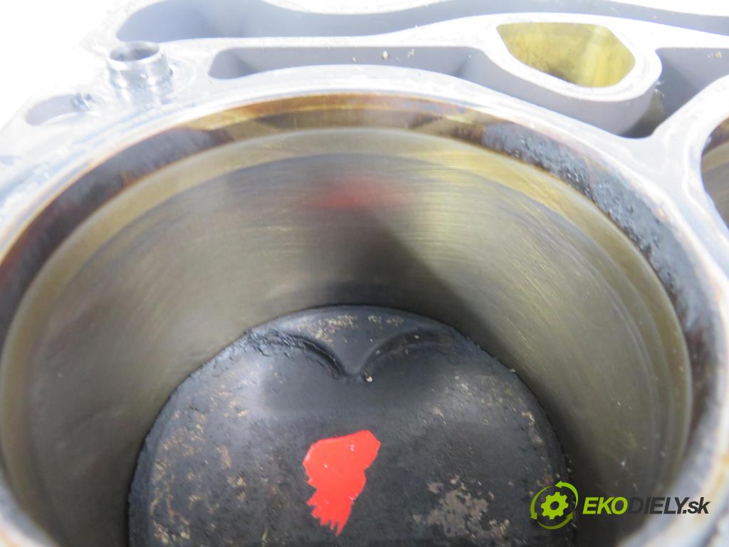 BMW 3 (E90) SEDAN 2005 95,00 318 i 129 - N46 B20 B 1995,00 blok Motor N46B20B (Blok motora)