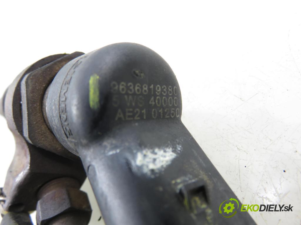 PEUGEOT 307 (3A/C) HB 2003 66,00 2.0 HDi 90 - RHY (DW10TD) 1997,00 vstrekovač 9636819380 (Vstrekovač paliva)