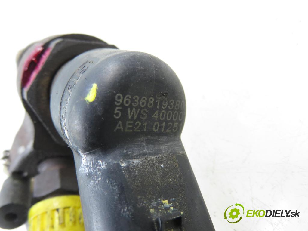 PEUGEOT 307 (3A/C) HB 2003 66,00 2.0 HDi 90 - RHY (DW10TD) 1997,00 vstrekovač 9636819380 (Vstrekovač paliva)