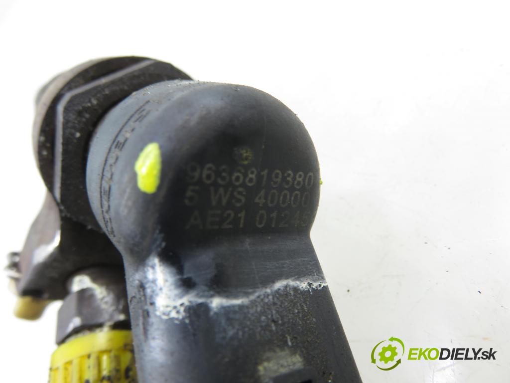 PEUGEOT 307 (3A/C) HB 2003 66,00 2.0 HDi 90 - RHY (DW10TD) 1997,00 vstrekovač 9636819380 (Vstrekovač paliva)