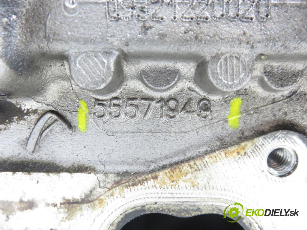 OPEL INSIGNIA A (G09) LIFTBACK 2009 96,00 2.0 CDTI (68) - A 20 DTJ 1956,00 (hlava 55565668 ; 55571949
