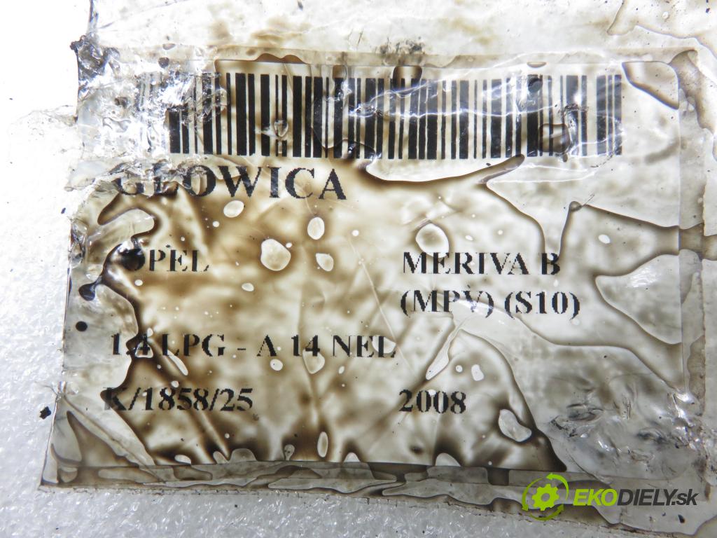 OPEL MERIVA B nadwozie wielkoprzestrzenne (MPV) (S10) MINIVAN 2008 88,00 1.4 LPG - A 14 NEL 1364,00 hlava 55565291