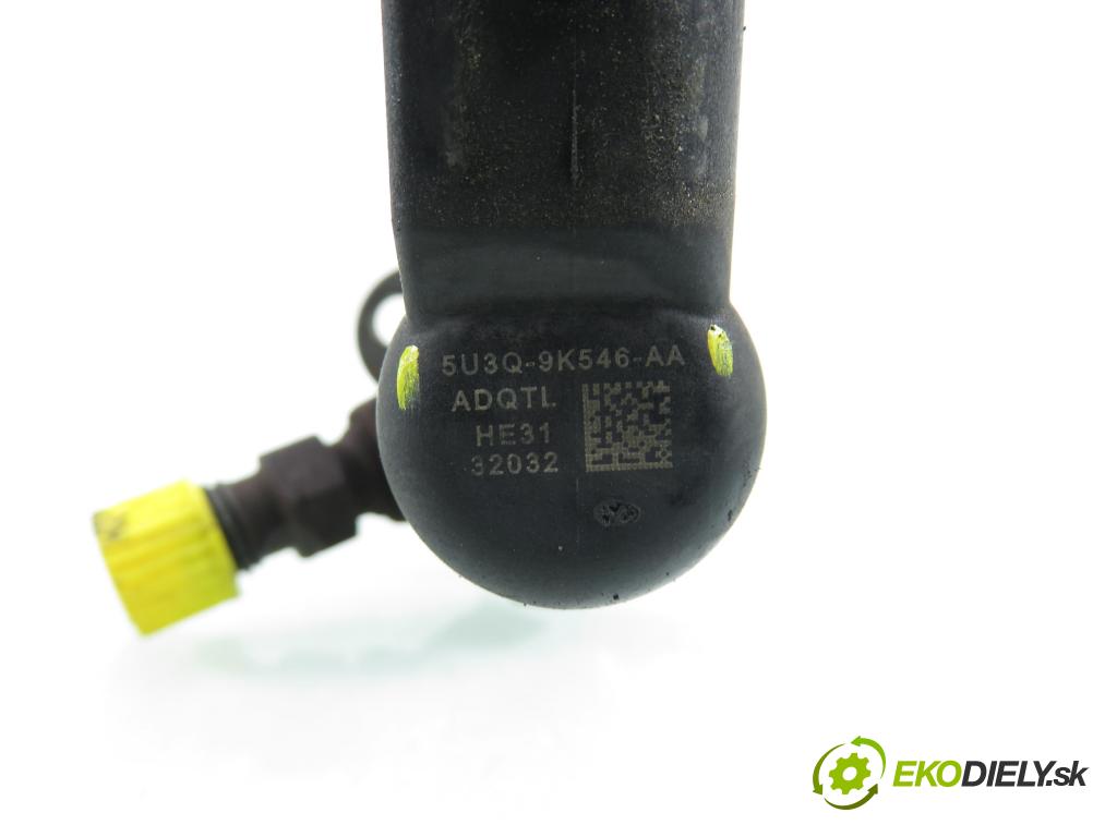CITROEN C5 III Break (RW_) KOMBI 2008 150,00 2.7 HDi - UHZ (DT17BTED4) 2720,00 vstřikovač 5U3Q9K546AA (Vstřikovač paliva)