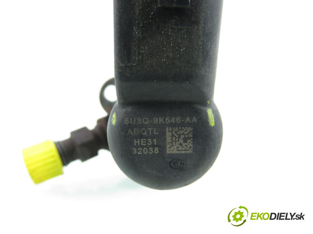 CITROEN C5 III Break (RW_) KOMBI 2008 150,00 2.7 HDi - UHZ (DT17BTED4) 2720,00 vstřikovač 5U3Q9K546AA (Vstřikovač paliva)