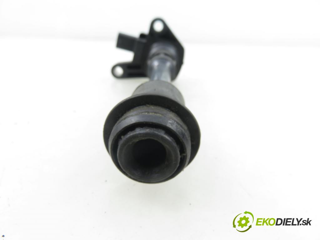 FORD S-MAX (WA6) MINIVAN 2012 118,00 1.6 EcoBoost - JTWB 1596,00 Cievka zapaľovacia BM5G12A366CA