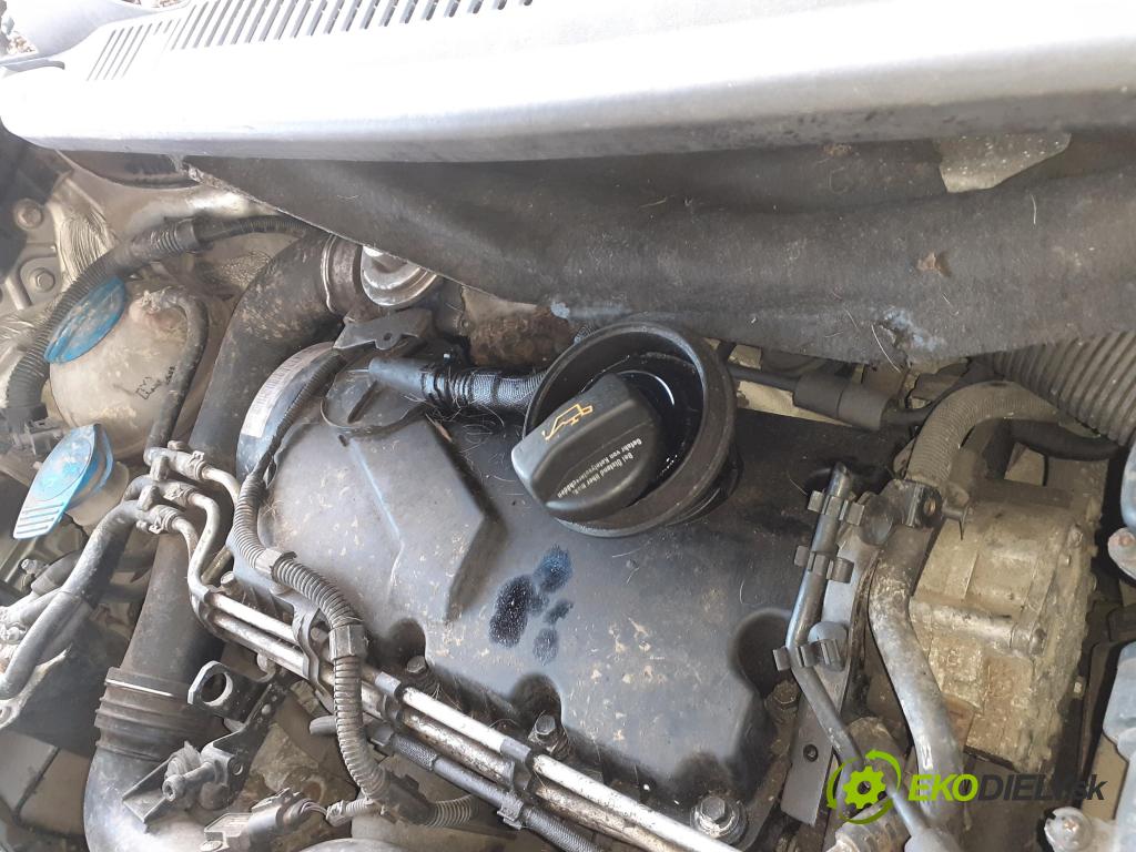 VW TOURAN (1T1, 1T2) MINIVAN 2004 74,00 1.9 TDI PD 100 - AVQ 1896,00 Motor DIESEL AVQ