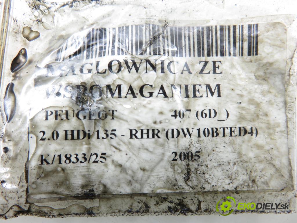 PEUGEOT 407 (6D_) SEDAN 2005 100,00 2.0 HDi 135 - RHR 1997,00 Riadenie ZE riadením D2X6G