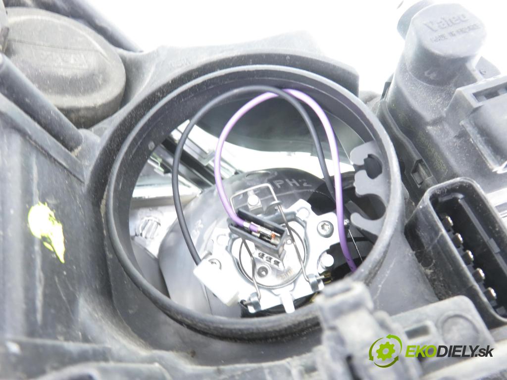 RENAULT ESPACE IV (JK0/1_) MINIVAN 2007 100,00 2.0 (JK09) - F4R 792 1998,00 Svetlo LP 8200394702