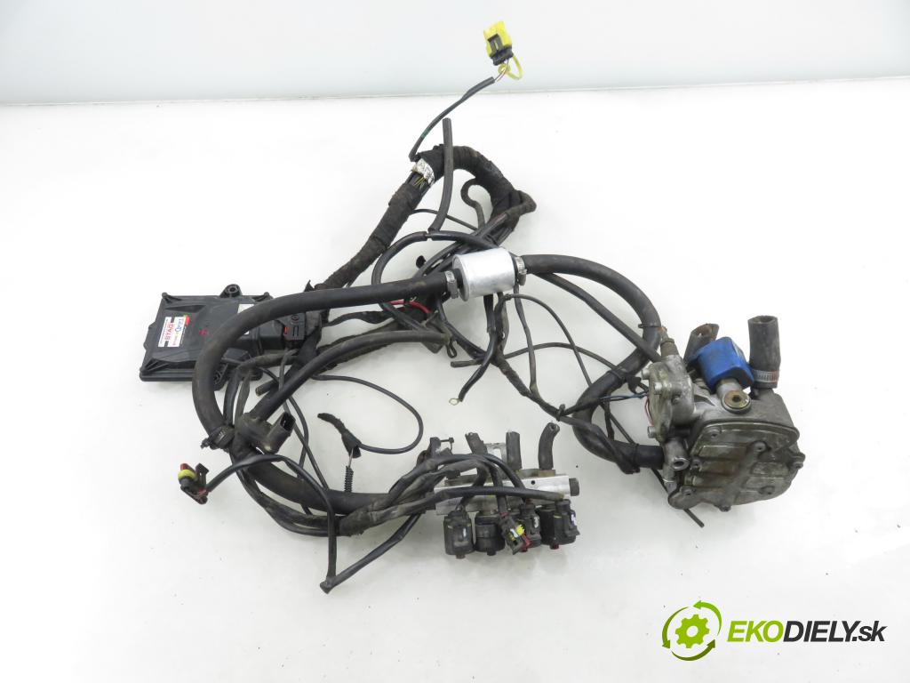 RENAULT ESPACE IV (JK0/1_) MINIVAN 2007 100,00 2.0 (JK09) - F4R 792 1998,00 LPG komplentny 67R014903 ; 67R010973 ; 67R014066