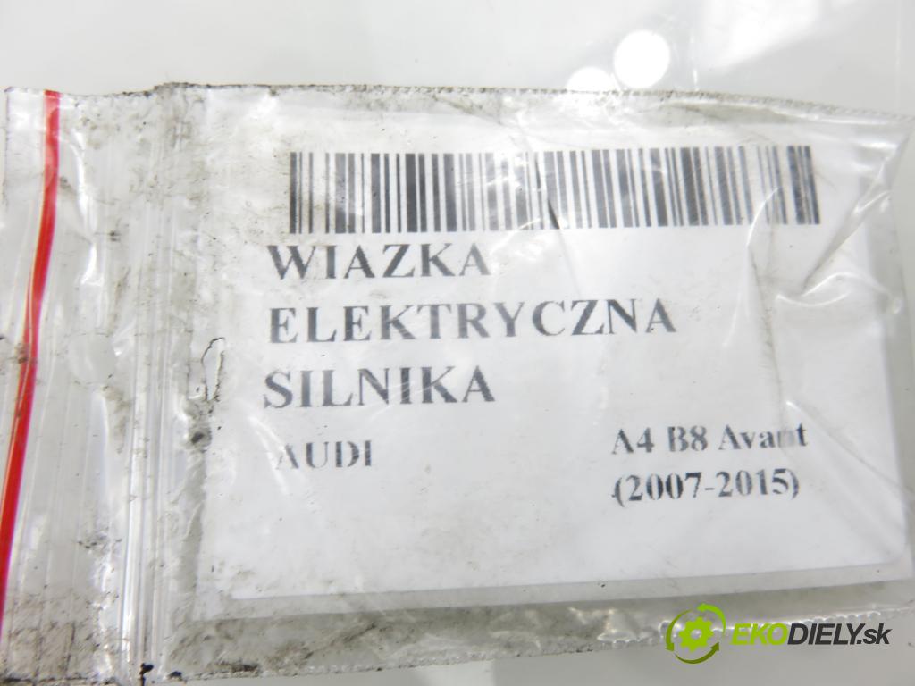AUDI A4 Avant (8K5, B8) KOMBI 2008 100,00 2.0 TDI - CAGB 1968,00 BALÍČEK: elektrická Motor 8K1971072HE