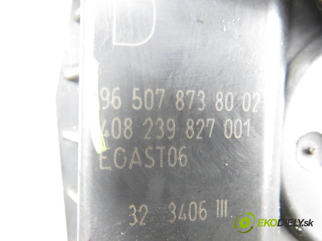 CITROEN C4 Picasso I (UD_) MINIVAN 2007 92,00 1.8 i 16V - 6FY (EW7A) 1749,00 Škrtiaca klapka 9650787380 ; 408239827001 (Škrtiaca klapka)