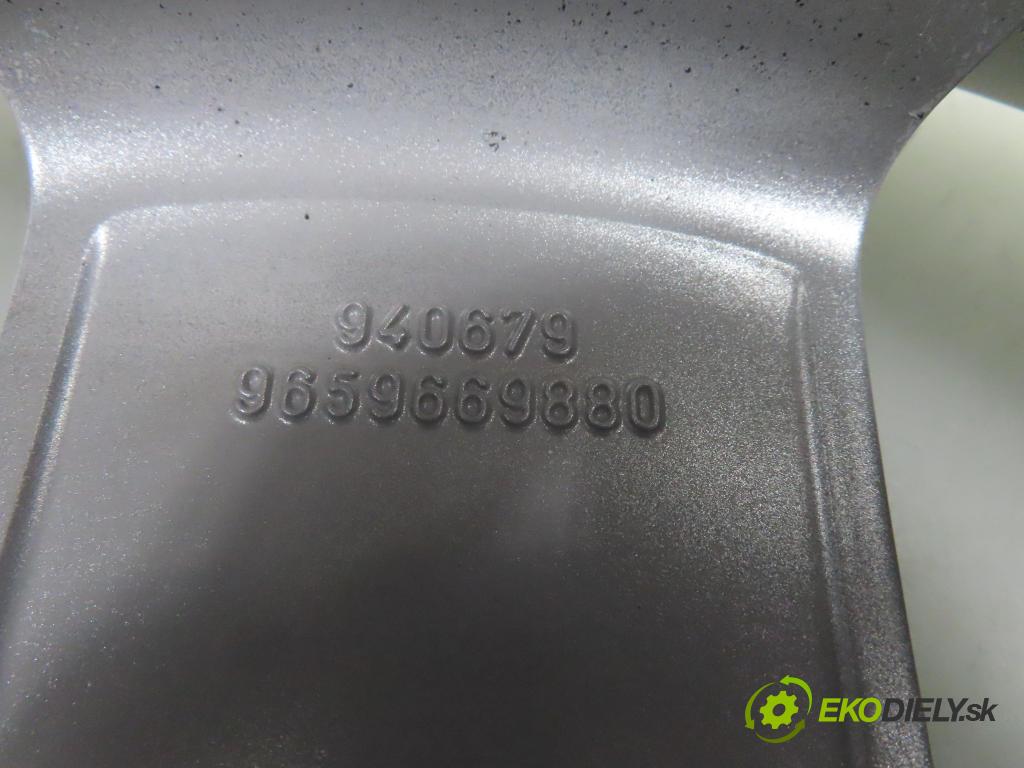 CITROEN   0    disky / disk 9659669880