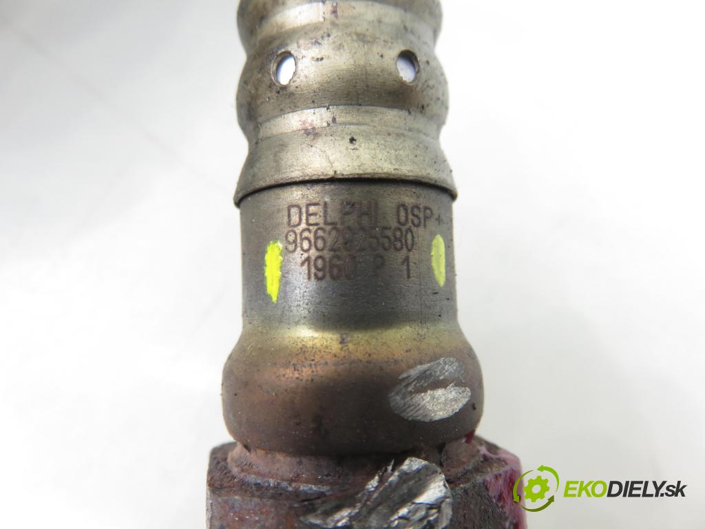 PEUGEOT 307 SW (3H) KOMBI 2007 103,00 2.0 16V - RFN (EW10J4) 1997,00 sonda lambda 9662925580 (Lambda sonda)