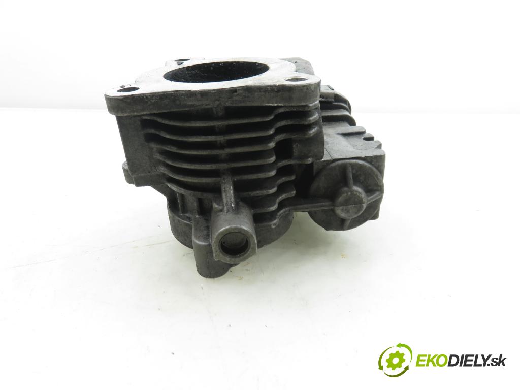 FIAT SEDICI (189_) CROSSOVER 2007 88,00 1.9 D Multijet 120 4x4 - D19AA 1910,00 Škrtiaca klapka 48CPD1 ; 48CPD1E (Škrtiaca klapka)