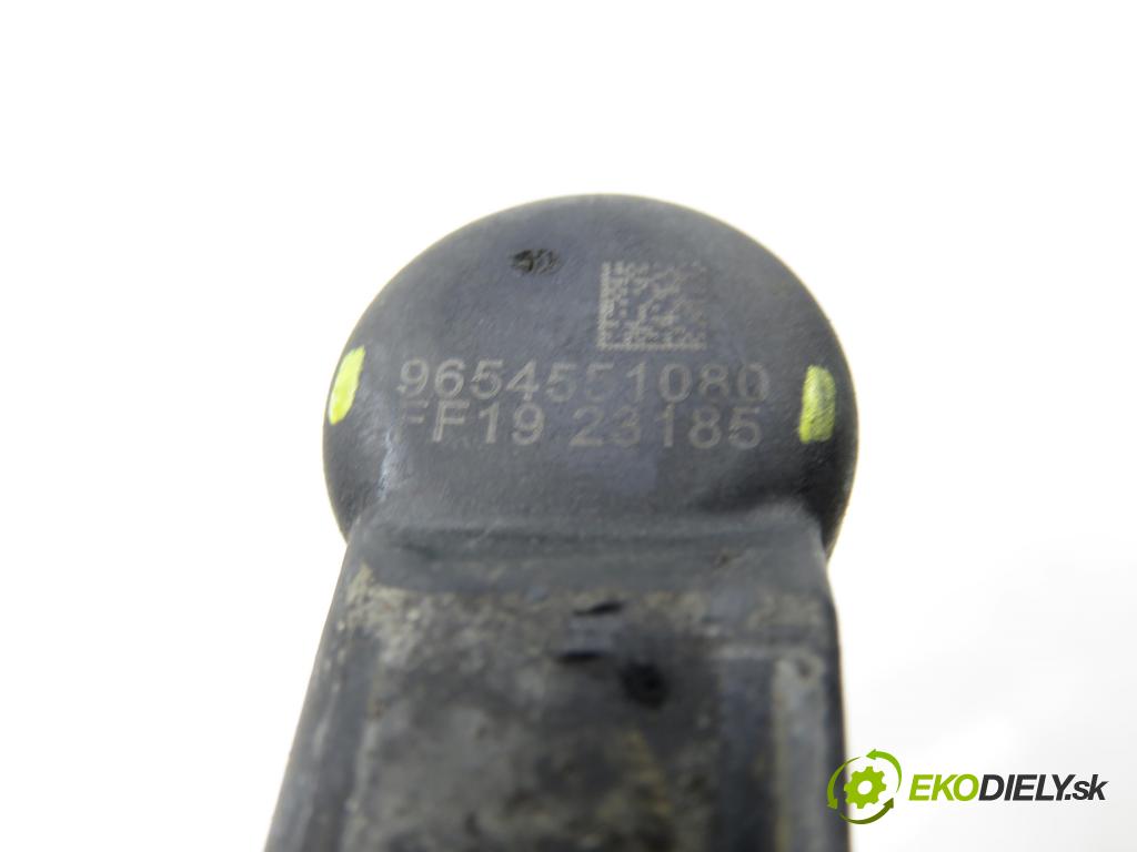 CITROEN C2 (JM_) HB 2006 50,00 1.4 HDi 68 8V - 8HZ 1398,00 vstrekovač 9654551080 (Vstrekovač paliva)