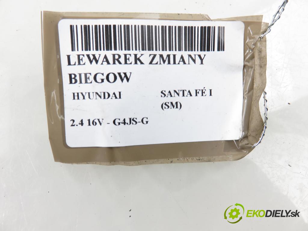 HYUNDAI SANTA FÉ I (SM) SUV 2004 107,00 2.4 16V 146 - G4JS-G 2351,00 ZVEDÁK: