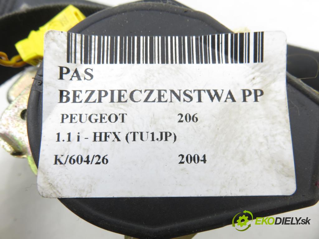 PEUGEOT 206 liftback (2A/C) HB 2004 440,00 1.1 i - HFX (TU1JP) 1124,00 Držiak bezpečnostný PP 96483378XX